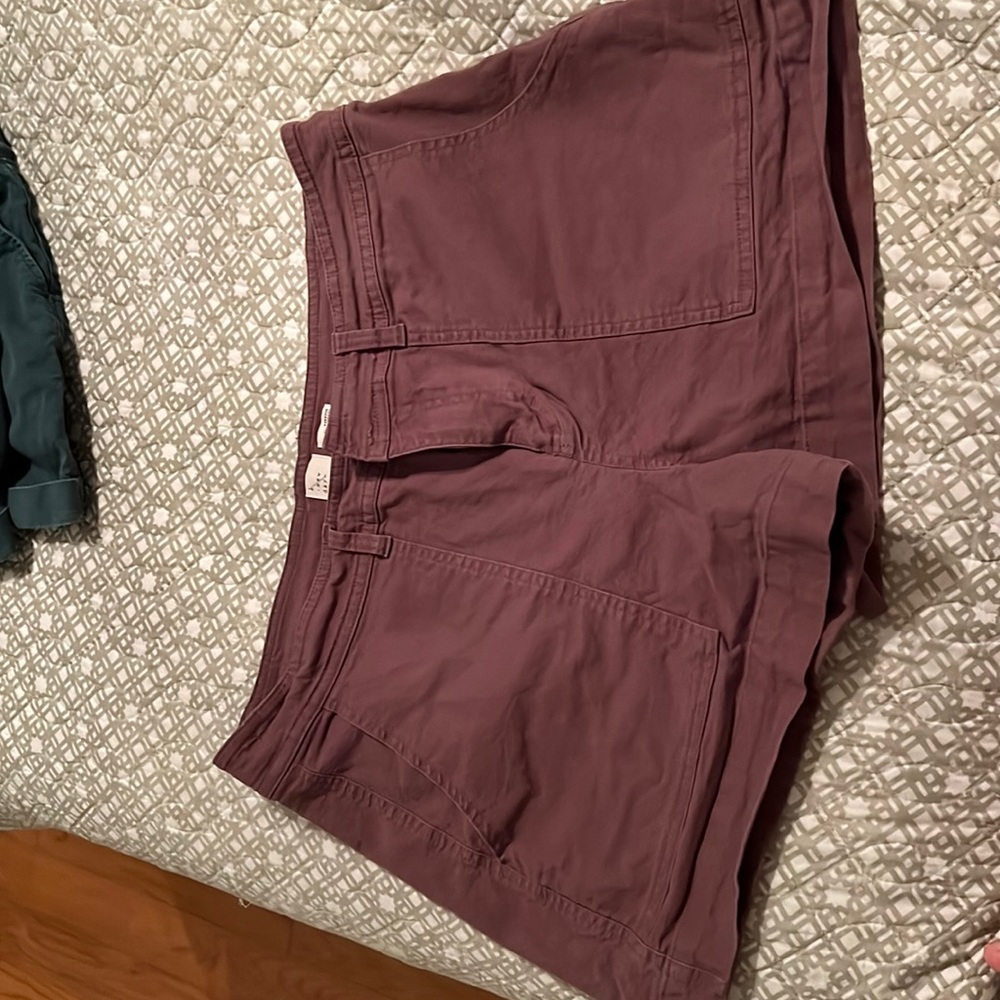 A new day shorts